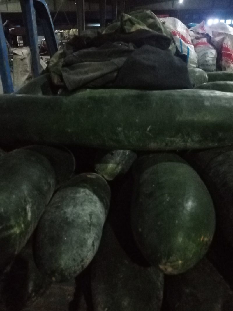 黑皮冬瓜，质量好，货源充足