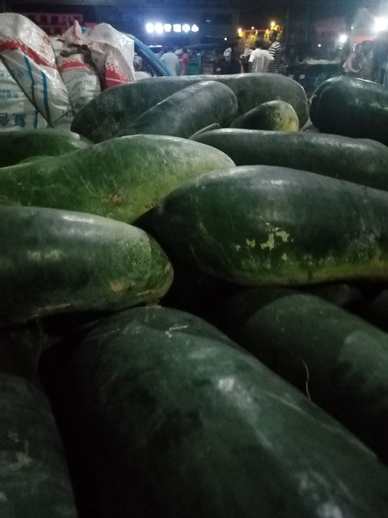 黑皮冬瓜，质量好，货源充足
