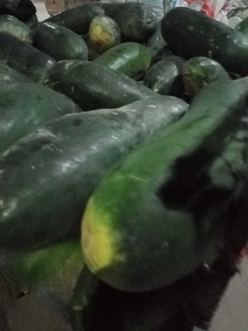 黑皮冬瓜，质量好，货源充足