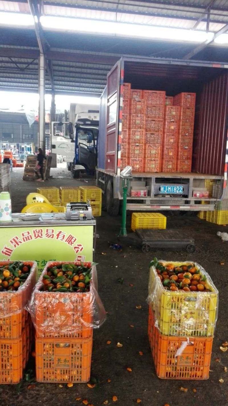 东莞专业代卖各地桃子