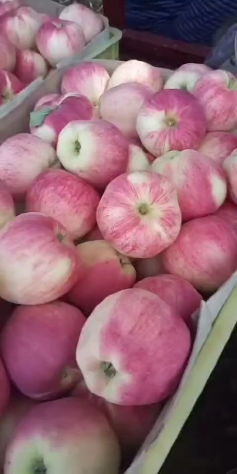 世界一的客户去哪里，