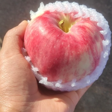 世界一的客户去哪里，