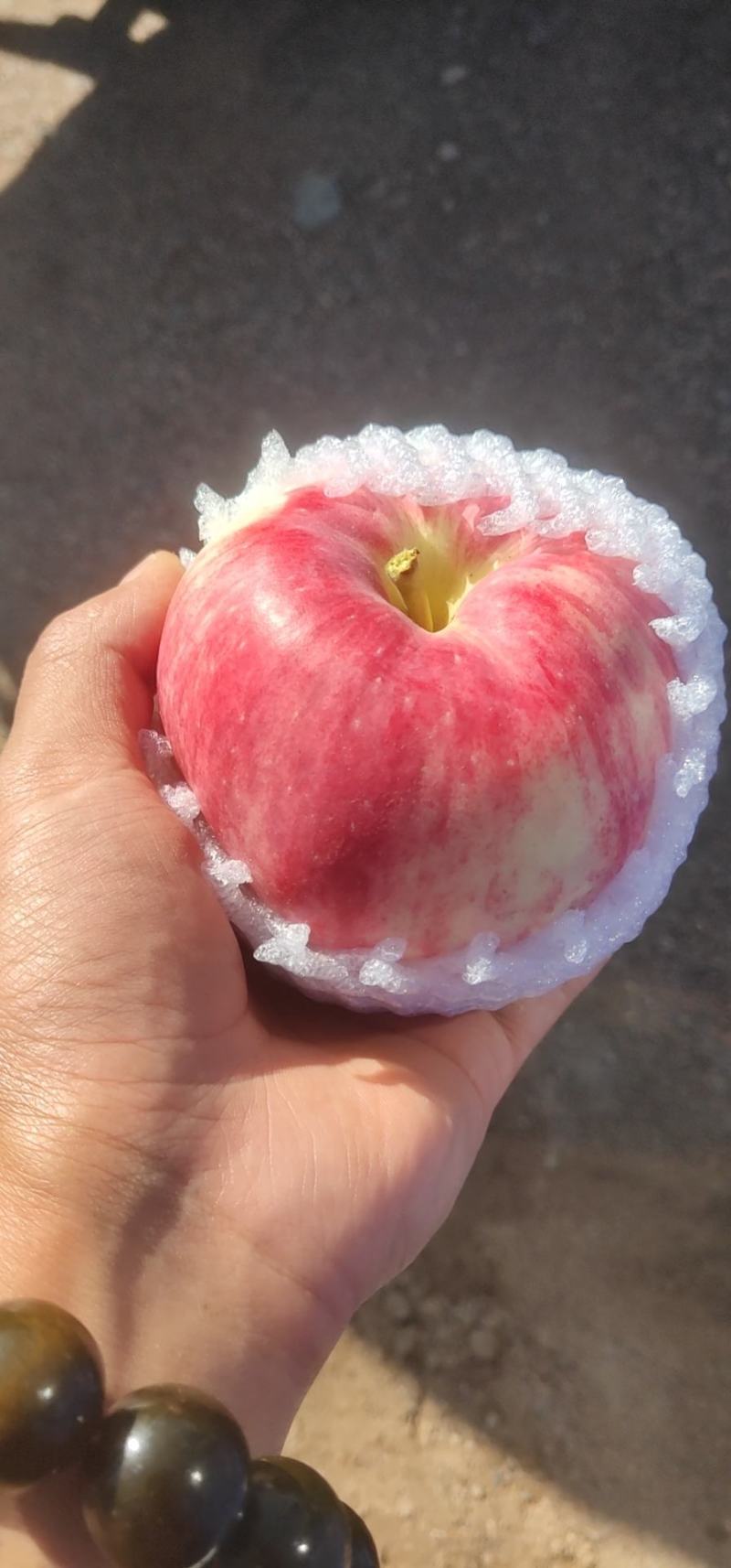 世界一的客户去哪里，
