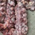 牛脖骨，国产纯干货肉多，屠宰场加工，价格不高。