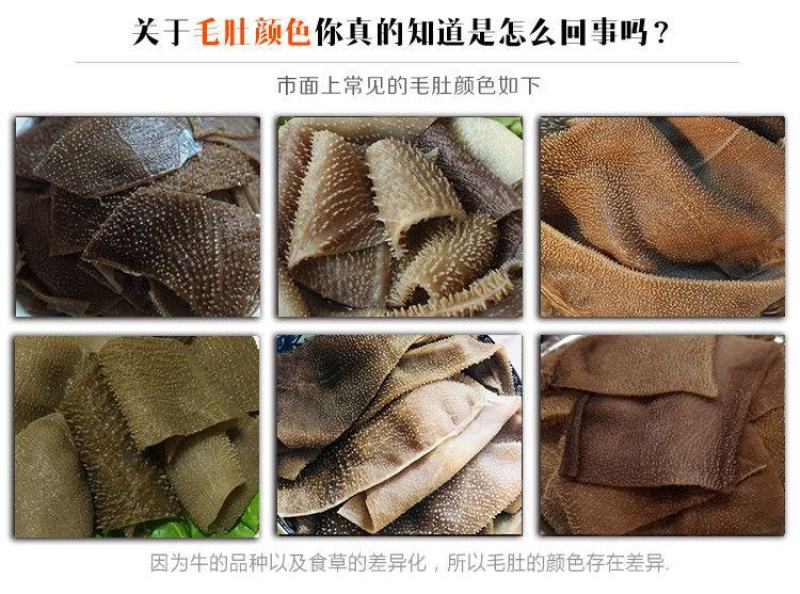 牛百叶火锅食材火锅配菜冷冻批发牛肚白毛肚白千层肚包邮