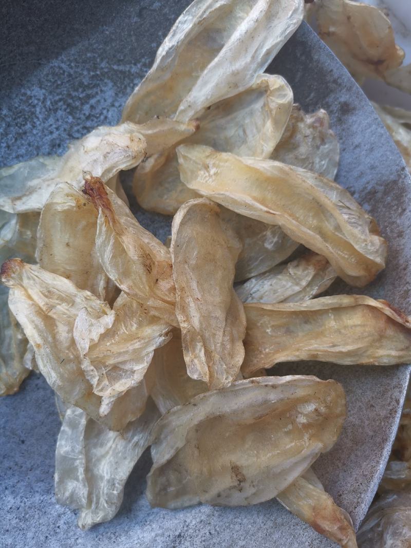 鱼鳔全干无硫净货鱼鳔产地直销可供大货出售各种昆虫类