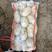 土豆，甘肃省临洮县精品洋芋，品种齐全，价格合理，质量保证