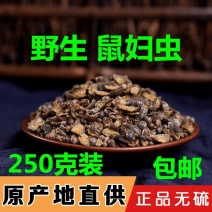 鼠妇虫中药材鼠妇虫、潮虫地虱湿生虫高质量保证