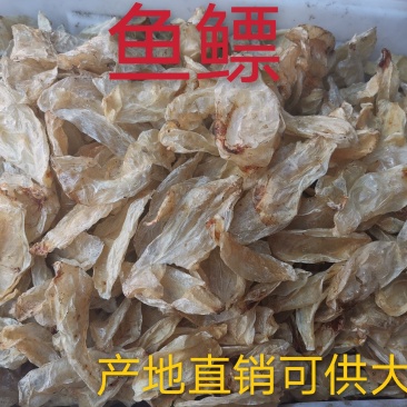 鱼鳔全干无硫净货鱼鳔产地直销可供大货出售各种昆虫类