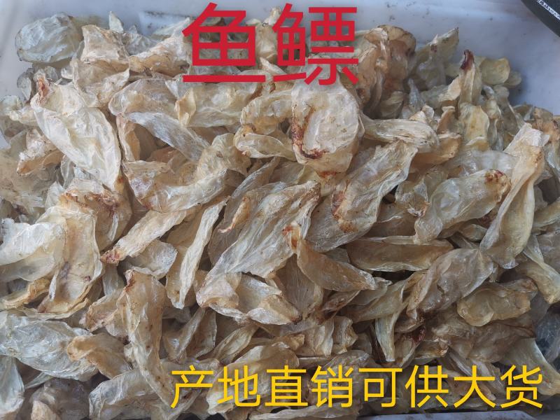 鱼鳔全干无硫净货鱼鳔产地直销可供大货出售各种昆虫类