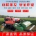 果园采摘平台履带式旋耕机遥控操作的耕地机