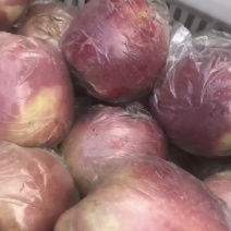 红星苹果大量走货供应中！货源充足，价格美丽！