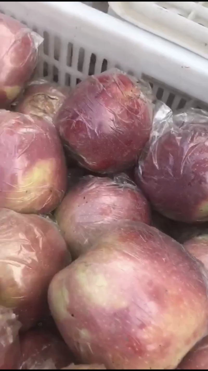 红星苹果大量走货供应中！货源充足，价格美丽！