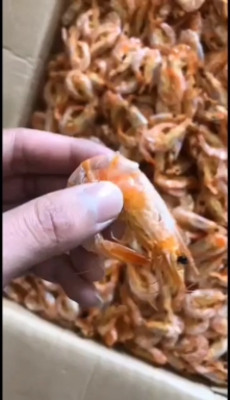 干虾，即食烤虾，淡干烤虾，零售批发，欢迎选购，量大从优