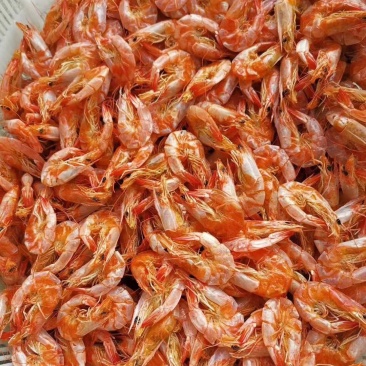 干虾，即食烤虾，淡干烤虾，零售批发，欢迎选购，量大从优