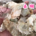 木蝴蝶玉蝴蝶千层纸保庆药业批发木蝴蝶