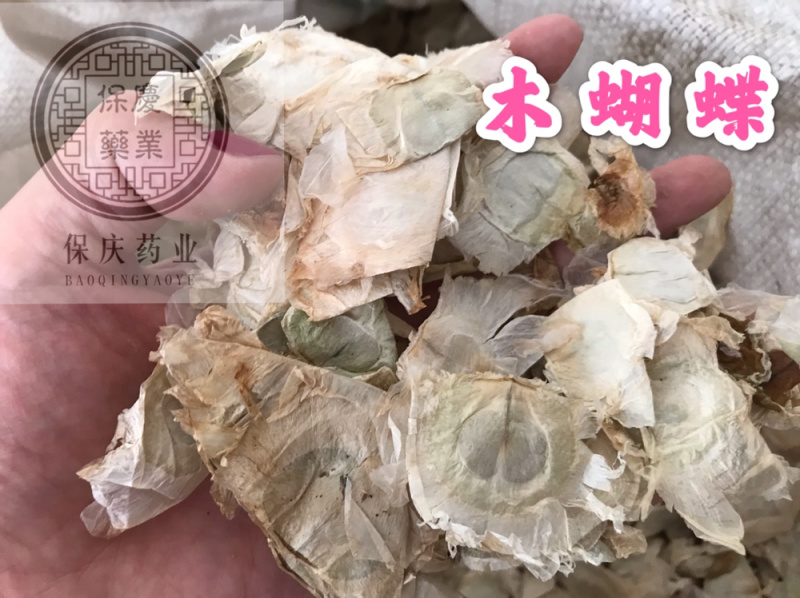 木蝴蝶玉蝴蝶千层纸保庆药业批发木蝴蝶