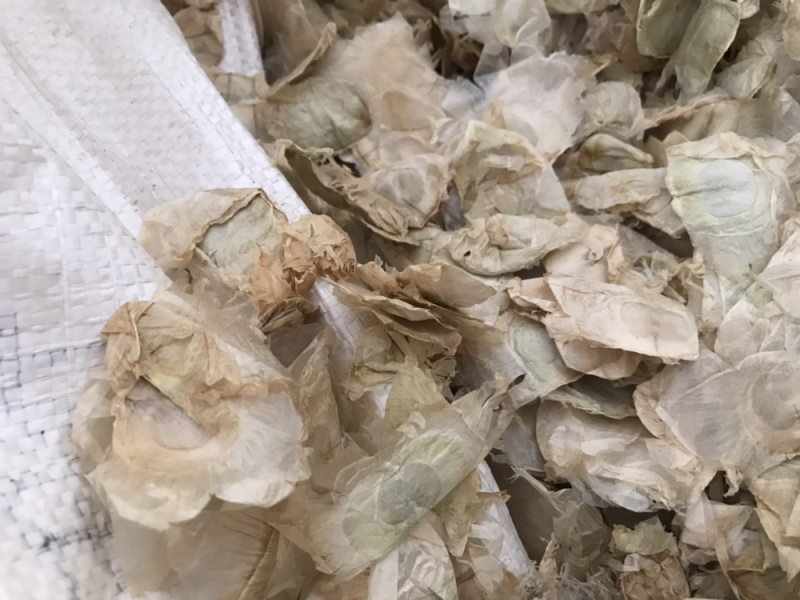 木蝴蝶玉蝴蝶千层纸保庆药业批发木蝴蝶