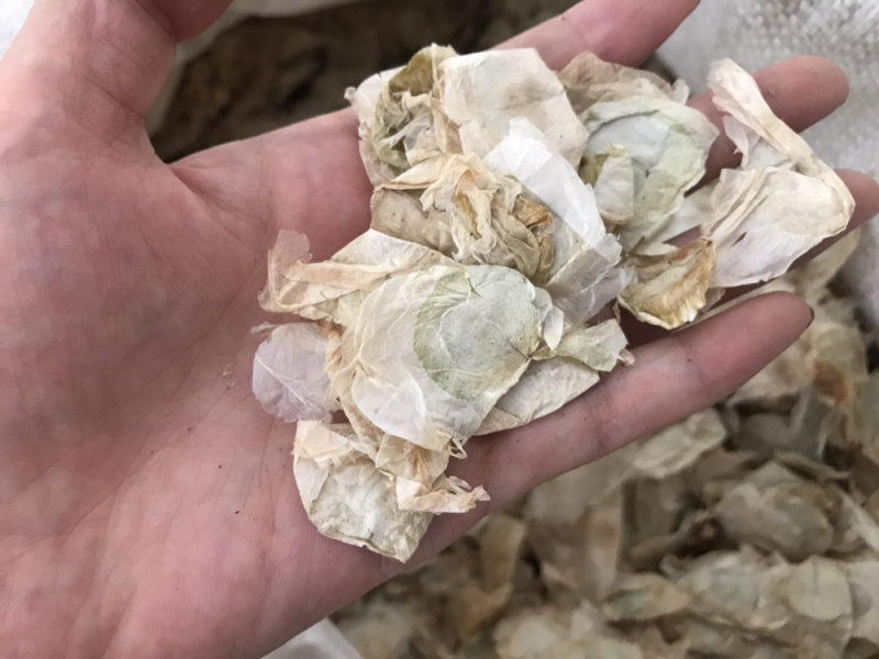 木蝴蝶玉蝴蝶千层纸保庆药业批发木蝴蝶