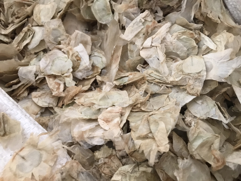 木蝴蝶玉蝴蝶千层纸保庆药业批发木蝴蝶