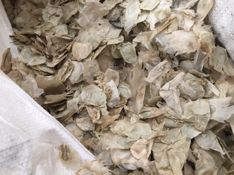 木蝴蝶玉蝴蝶千层纸保庆药业批发木蝴蝶
