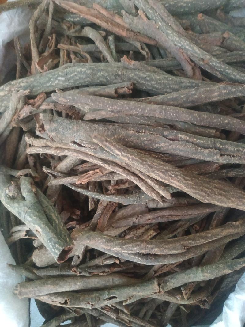 红杜仲皮～1公斤起售～量大优惠～欢迎咨询采购