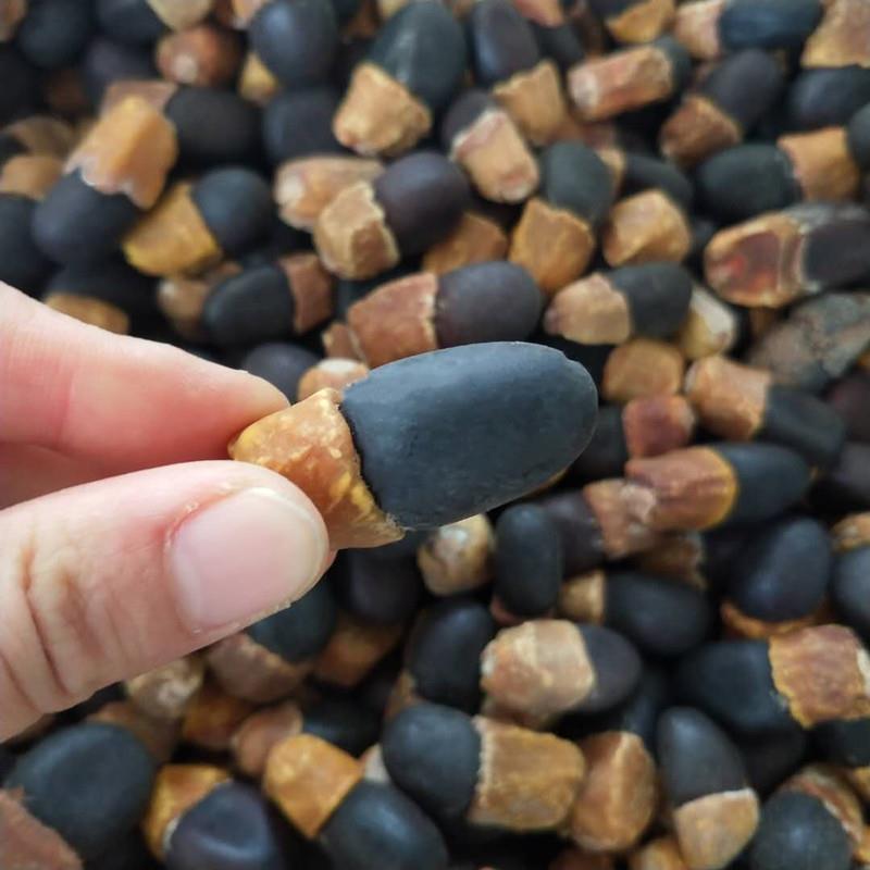 中药材缅伽缅茄菩提子野生阴阳果马牙果正品无硫新货