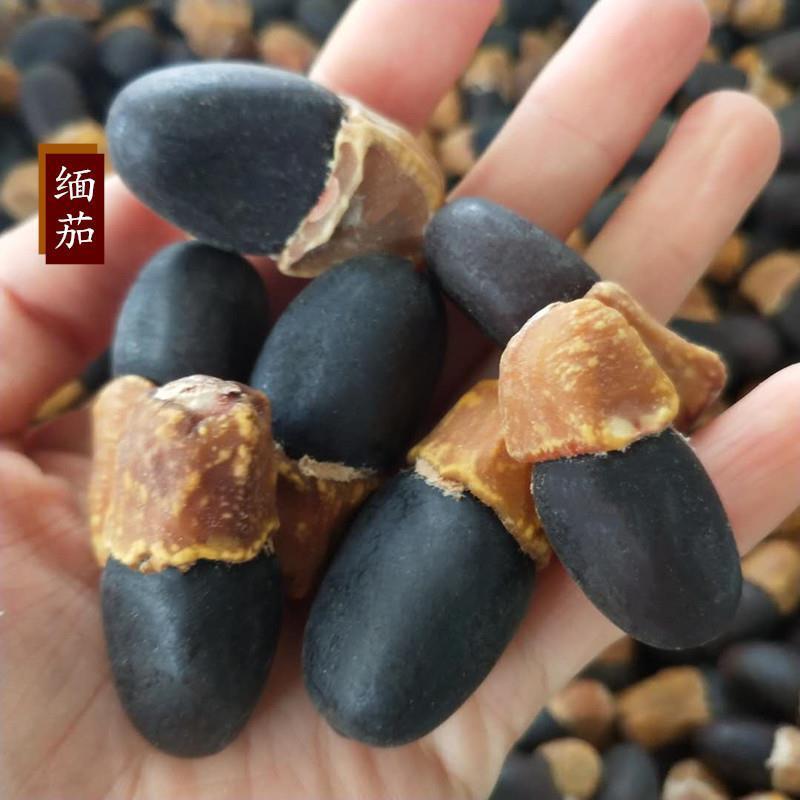 中药材缅伽缅茄菩提子野生阴阳果马牙果正品无硫新货