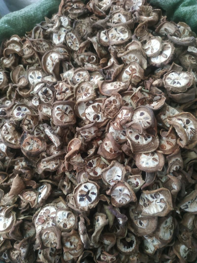 八月札～新货～1公斤起售～量大优惠～欢迎咨询采购