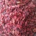 山芋肉～新货～量大优惠～1公斤起售～