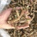 野生夏枯草2025新货一手货源价格美丽高含量
