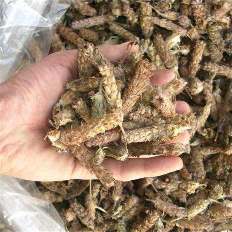 野生夏枯草2025新货一手货源价格美丽高含量