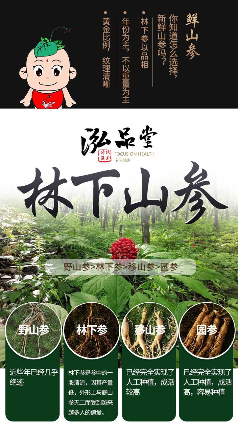 东北特产长白山现挖带土鲜参20年林下参正宗货