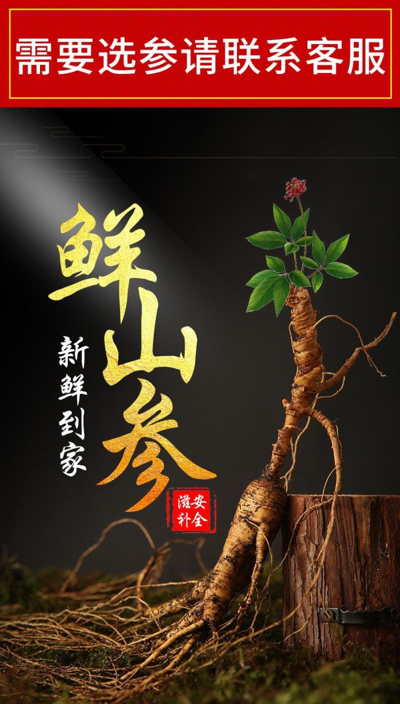 东北特产长白山现挖带土鲜参20年林下参正宗货