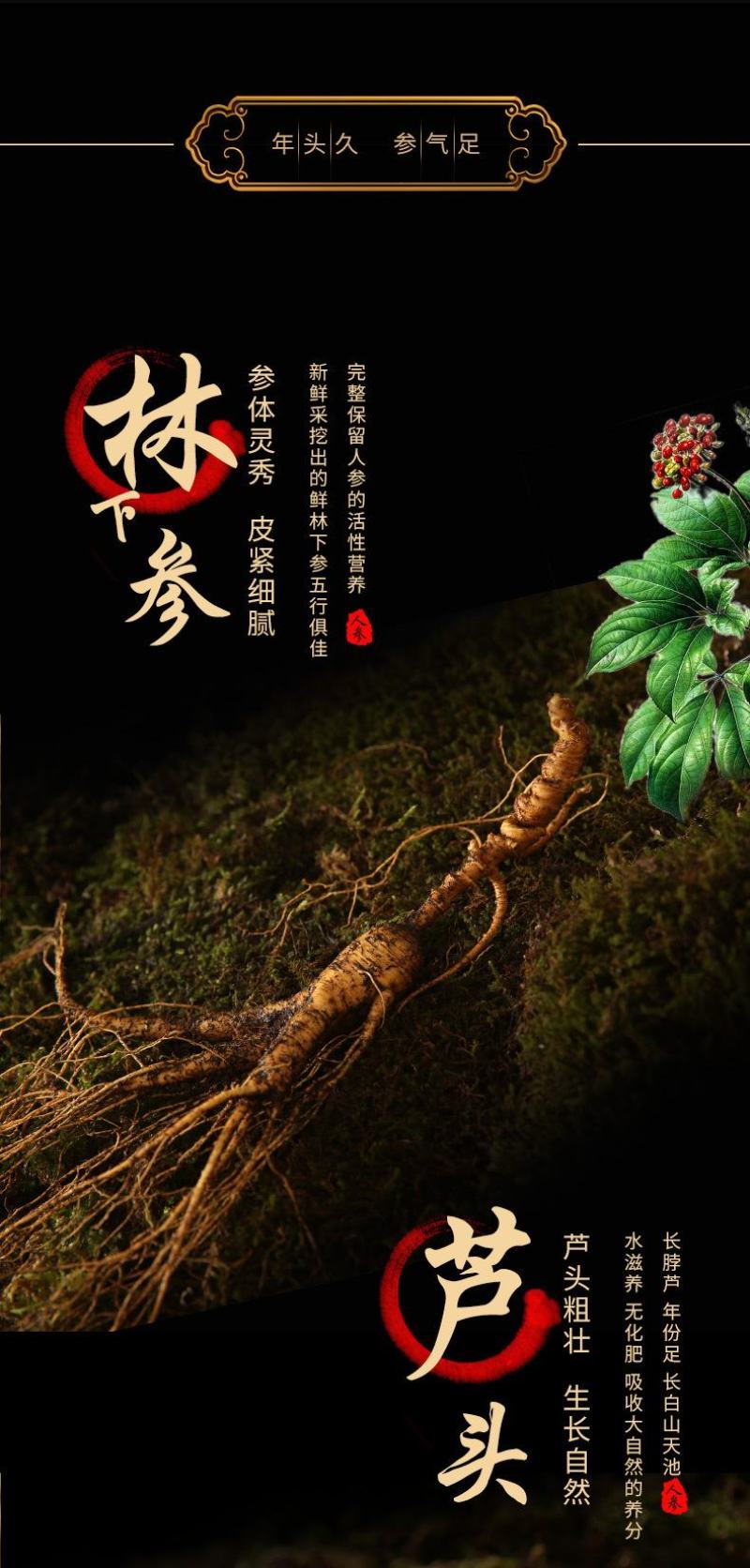 东北特产长白山现挖带土鲜参20年林下参正宗货