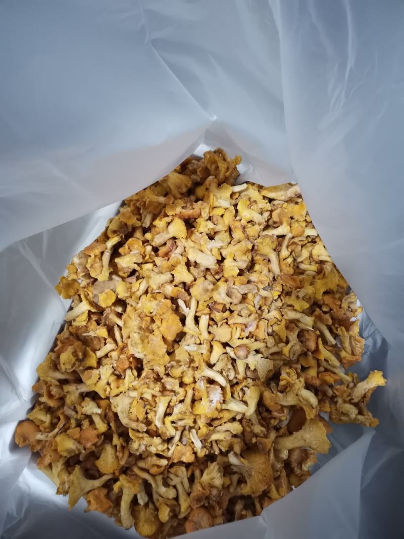 野生菌，速冻鸡油菌。