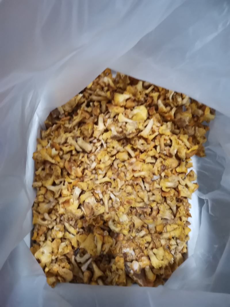 野生菌，速冻鸡油菌。