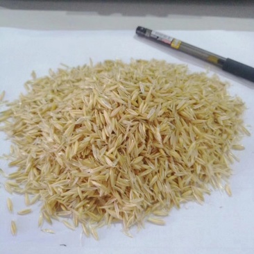 燕麦壳，燕麦糠，反刍料，禽料都可使用。