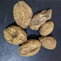 无硫货金果榄金牛胆苦牛胆货好量大要多了有优惠