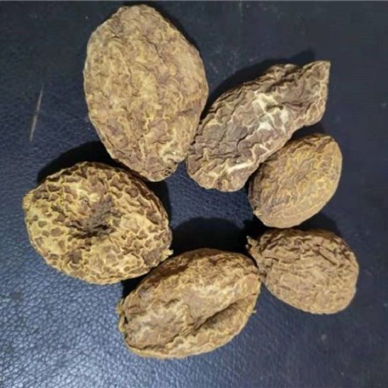 无硫货金果榄金牛胆苦牛胆货好量大要多了有优惠