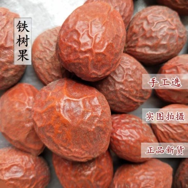 中药材铁树果铁树籽凤凰蛋神仙米正品新货500g