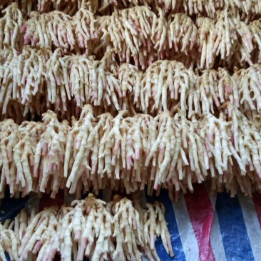 广西桂林市阳朔县，新鲜红芽仔姜，产地直接应该，质量保证