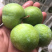 阿坝州茂县红翠李大量上市了