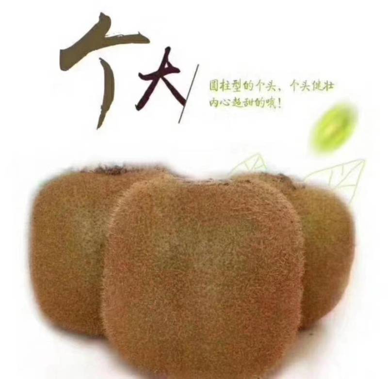陕西徐香绿心猕猴桃奇异果当季新鲜水果批发