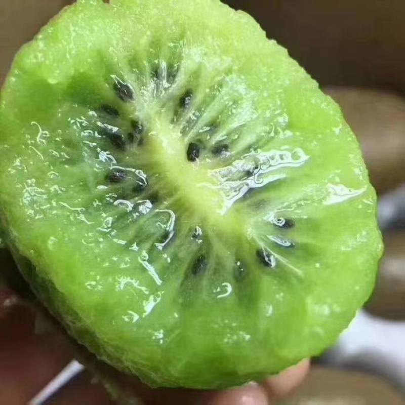 陕西徐香绿心猕猴桃奇异果当季新鲜水果批发