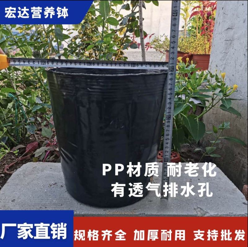 大型号营养钵树苗营养杯育苗杯加厚育苗盆塑料营养钵育
