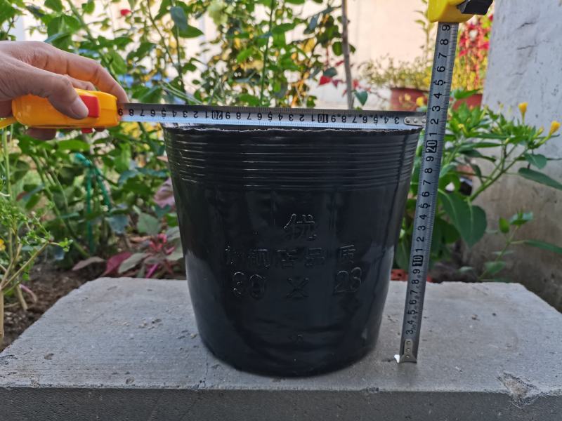 大型号营养钵树苗营养杯育苗杯加厚育苗盆塑料营养钵育