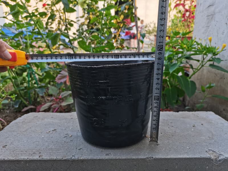 大型号营养钵树苗营养杯育苗杯加厚育苗盆塑料营养钵育