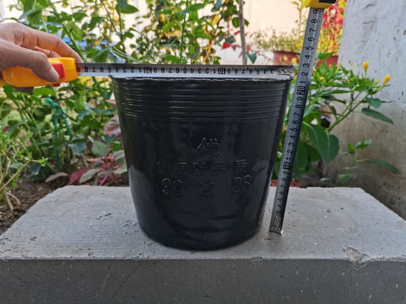 大型号营养钵树苗营养杯育苗杯加厚育苗盆塑料营养钵育