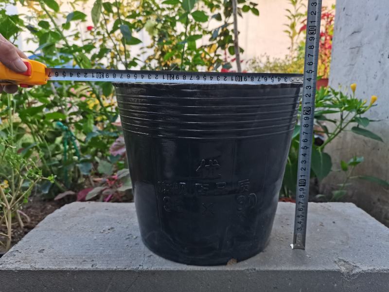大型号营养钵树苗营养杯育苗杯加厚育苗盆塑料营养钵育